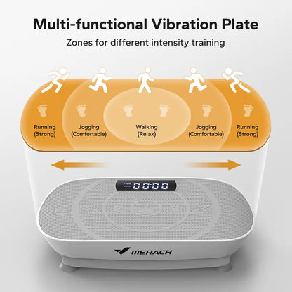 Whole Body Vibration Machine
