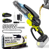 500W + 2 Batteries