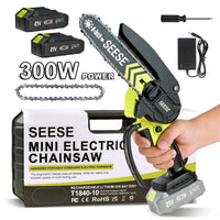 300W + 2 Batteries